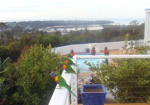 Kingfisher Motel (Adults Only) Merimbula 4*,  Australia
